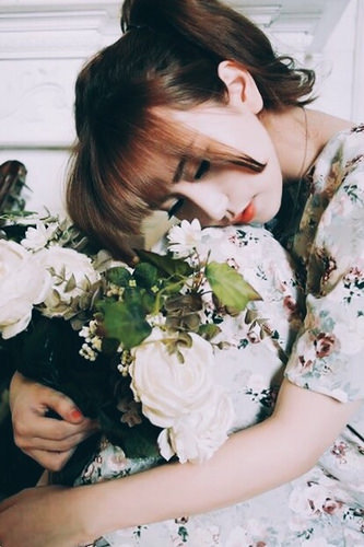 栖花绯汐世免费观看